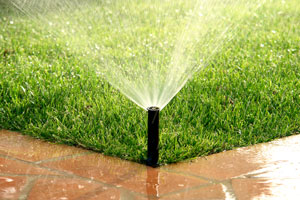 Ihr Garten sollte in warmen und trockenen Monaten durch automatische Systeme zusätzlich bewässert werden.
