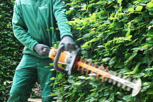 Gartenpflege leicht gemacht mit den Services von Rieper Gartenbau in Ingolstadt!