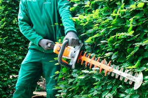 Gartenpflege leicht gemacht mit den Services von Rieper Gartenbau in Ingolstadt!