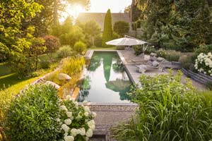 Ein Naturpool im eigenen Garten ist die biologische Alternative zum einfachen Swimmingpool mit Chlorwasser.