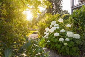 Ein Garten ohne Pflanzen wirkt meist leer und einsam - deswegen sind wir Ihr Spezialist für Gartenbau in Ingolstadt!