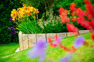 Wir beraten Sie gerne zu verschiedenen Pflanzenarten und welche Pflanzen Sie in Ihren Garten integrieren können.