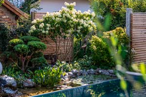 Egal ob Hecke, Rasen oder Blumenbeet: Die richtige Bepflanzung wärtet Ihren Garten nicht nur optisch auf!