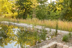 Beim Rasenbau legt der Gartenbaubetrieb Rieper in Ingolstadt viel Wert auf Sorgfalt und Präzision.