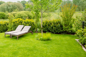 Wir bieten Ihnen im Rahmen des Rasenbaus Rollrasen und auch Rasen-Aussaat für Ihren Garten an.