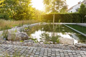 Wir helfen Ihnen bei der Planung und Umsetzung des perfekten Schwimmteichs für Ihren Garten.