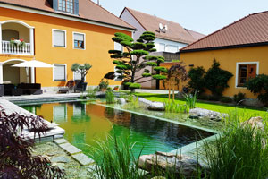 Rieper in Karlskron hilft Ihnen bei der Planung des perfekten Schwimmteichs und einer individuellen Poolanlage.