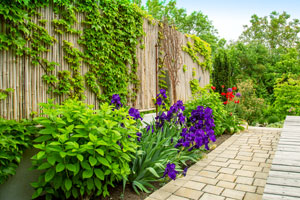 Die Installation von Sichtschutzwänden in Ihrem Garten sind von essentieller Bedeutung, wenn Sie Ihre Privatsphäre schützen möchten.