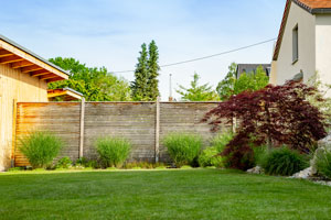 Ein einfacher Sichtschutz aus Holz kann mit der passenden Begrünung Ihren Garten optisch aufwerten.