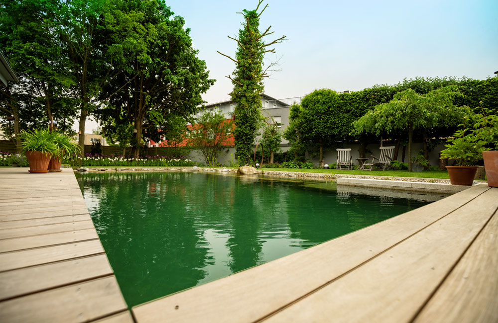 Ein Schwimmteich von Rieper in Ihrem Garten ist ebenso wie ein Naturpool lohnenswert für heiße Sommertage.