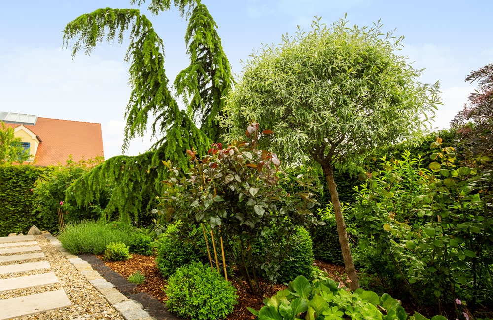 Mit Rieper Garten und Schwimmteich aus Karlskron können Sie sich endlich den Garten gönnen, den Sie sich vorstellen.