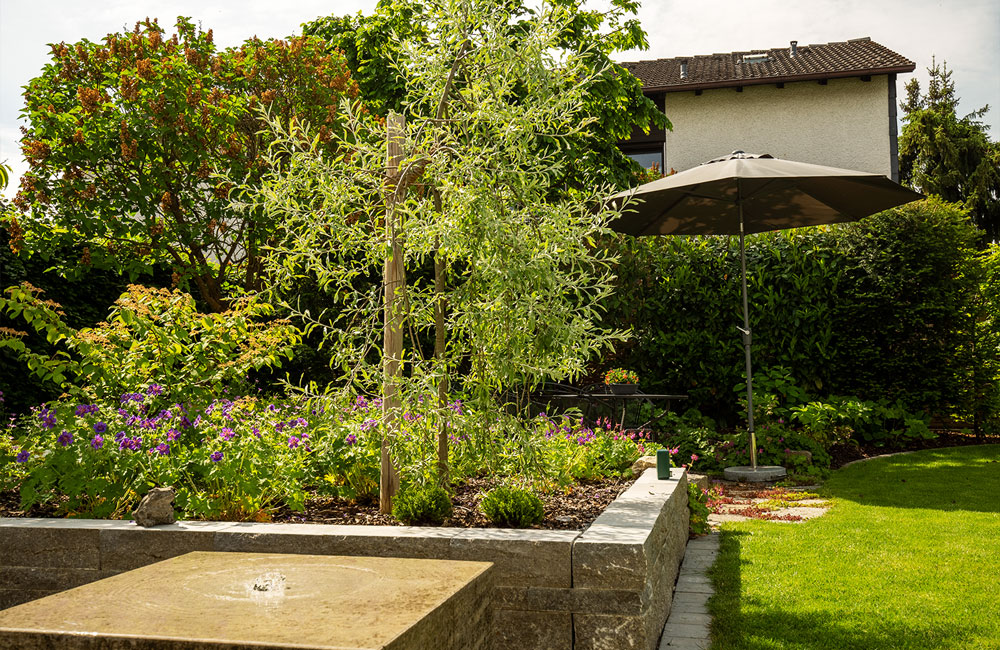 Wir planen und gestalten mit Leidenschaft gerne Ihren neuen Garten und übernehmen die Realisierung Ihrer Vorstellungen!